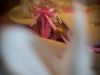 hochzeit_martina_ralf-157